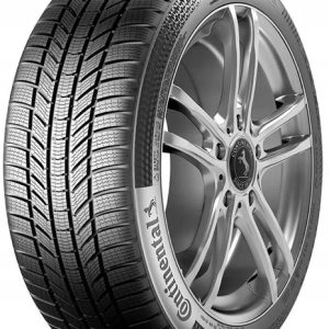 2x opony zimowe Continental WinterContact TS 870 P 295/35R22 108W XL rant