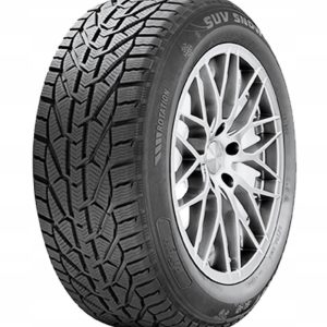 4x RIKEN SUV SNOW 225/60R17 103 V
